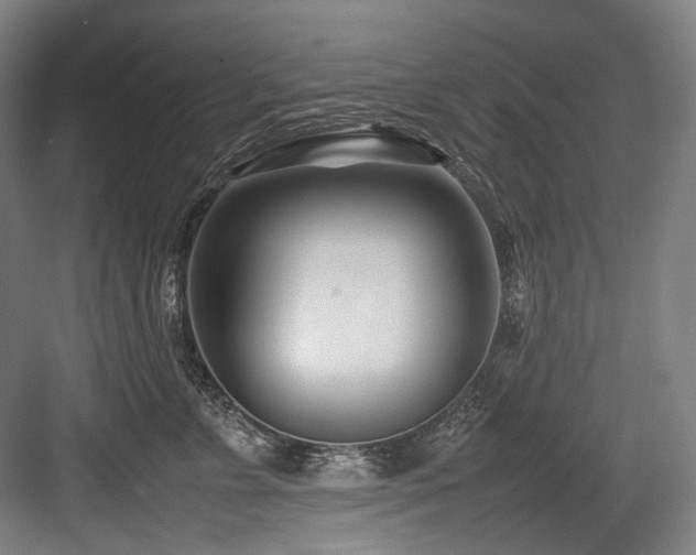 X0000083660715200702121216