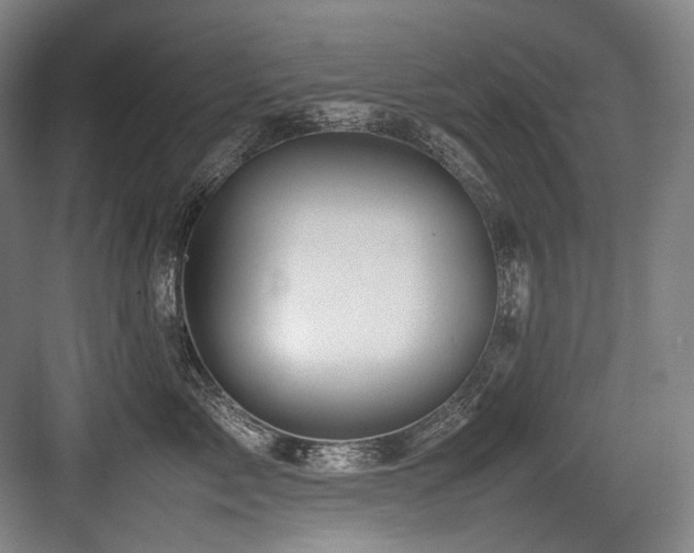 X0000083660717200702121216