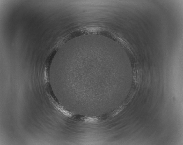 X0000083660718200702121216
