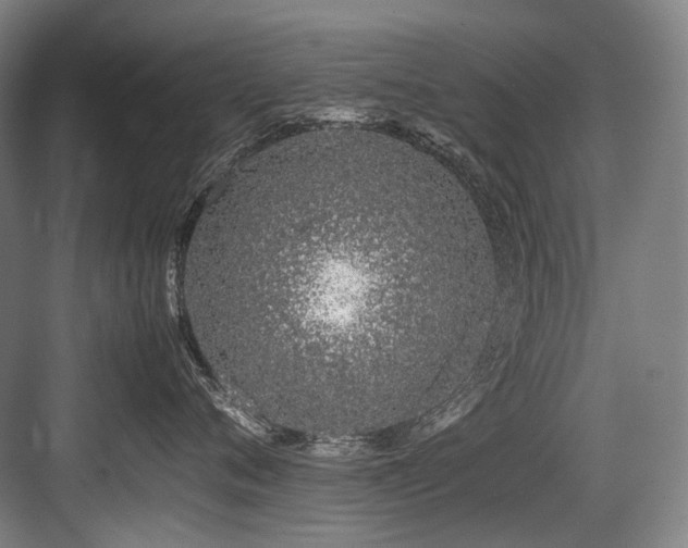 X0000083660720200702121216