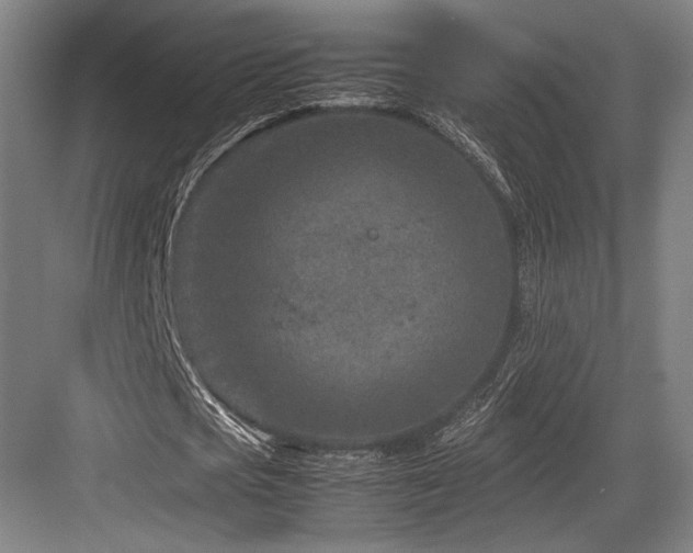 X0000083660721200702121215