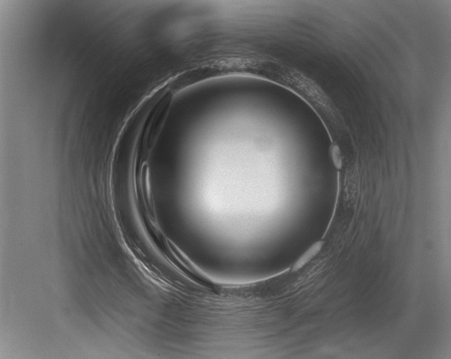 X0000083660722200702121215