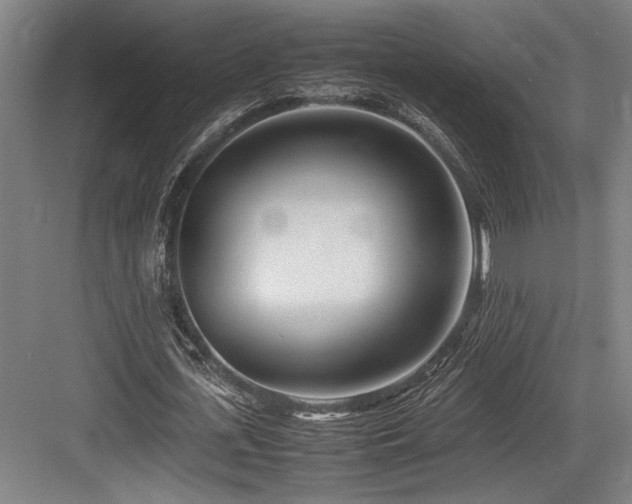 X0000083660723200702121215