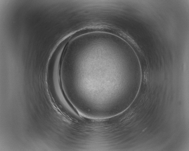 X0000083660724200702121215