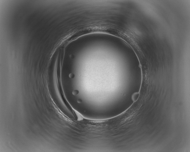 X0000083660725200702121215