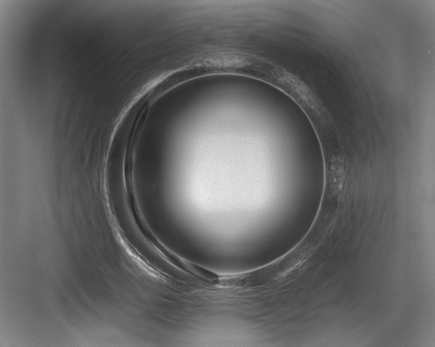 X0000083660726200702121215