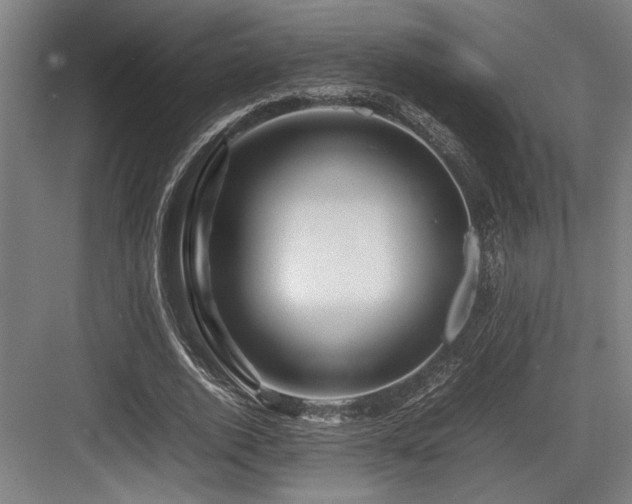 X0000083660728200702121215