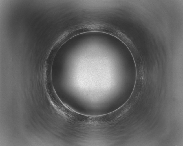 X0000083660730200702121215