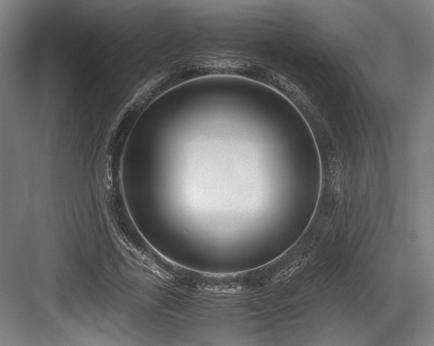 X0000083660731200702121215