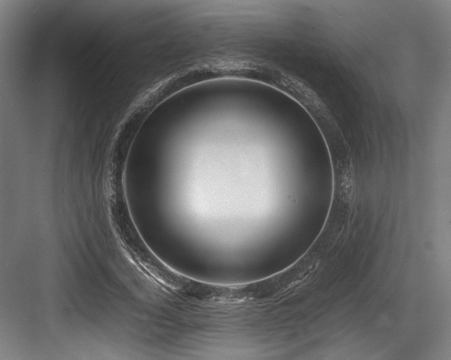 X0000083660732200702121215