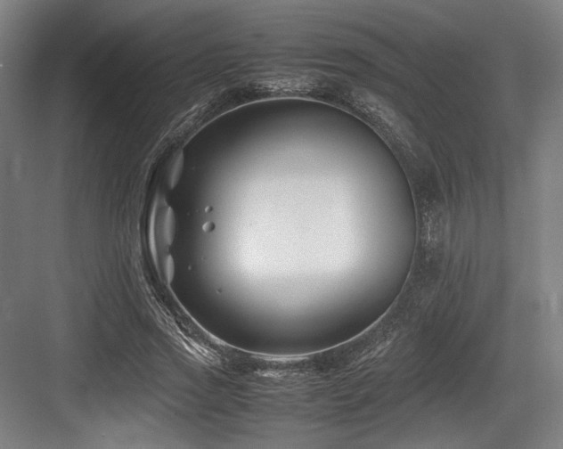 X0000083660733200702121215