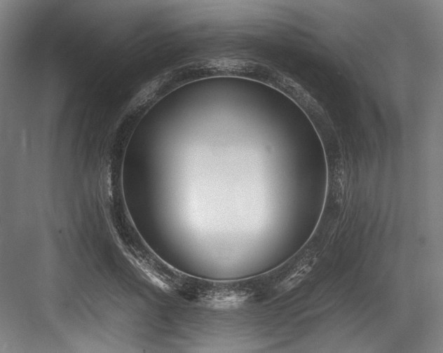 X0000083660734200702121215