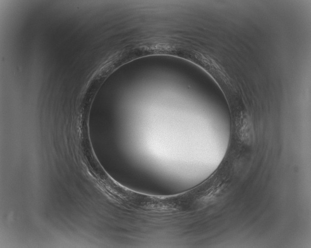 X0000083660735200702121215