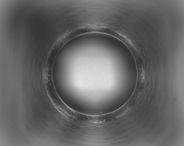 X0000083660736200702121215