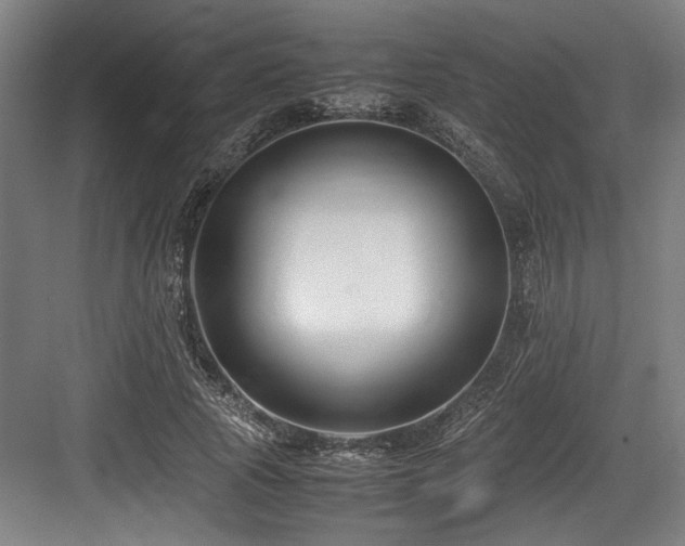 X0000083660737200702121215