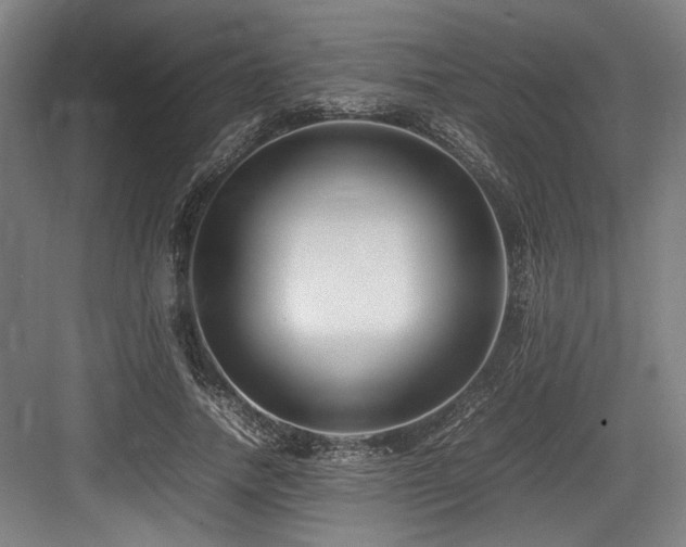 X0000083660738200702121215