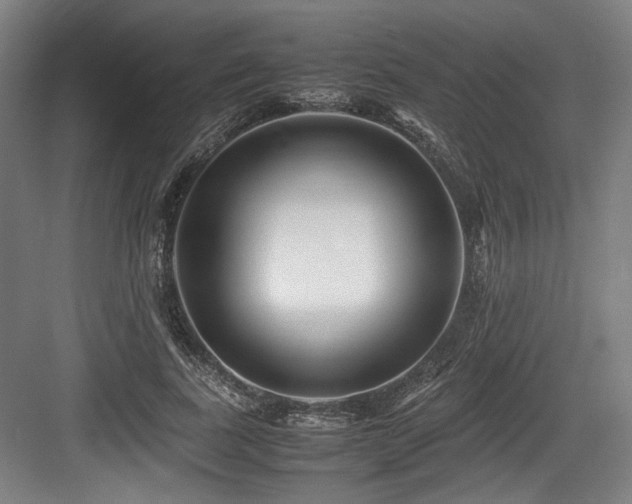 X0000083660739200702121215