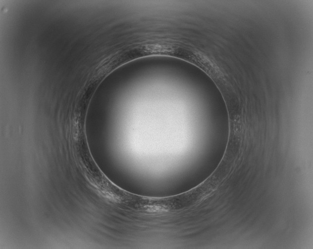 X0000083660741200702121215