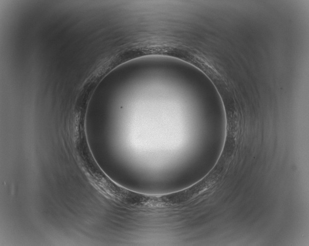 X0000083660742200702121215
