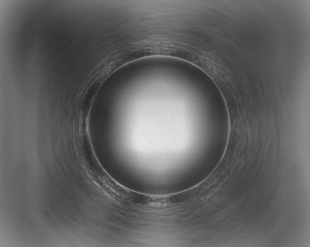 X0000083660744200702121215