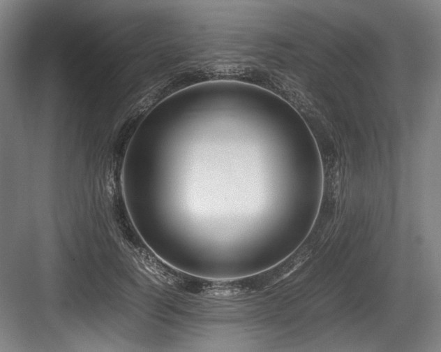 X0000083660746200702121215