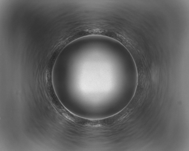 X0000083660747200702121215