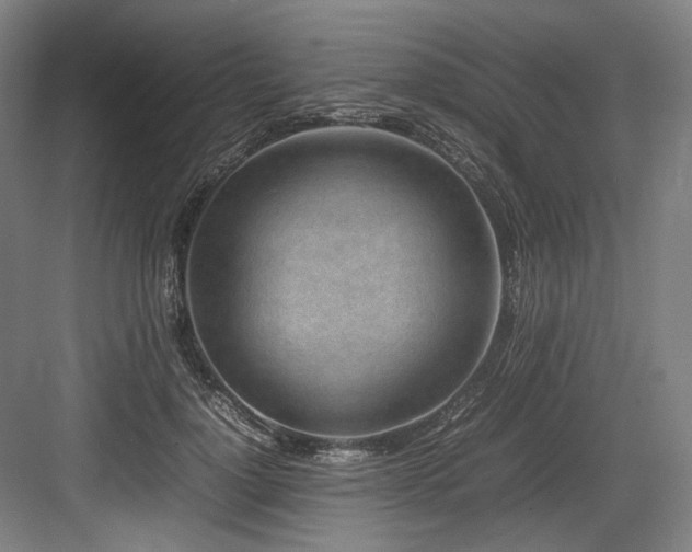 X0000083660748200702121215