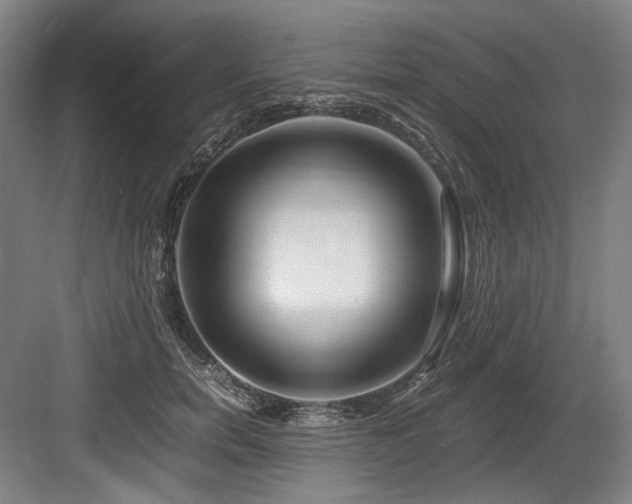 X0000083660750200702121215