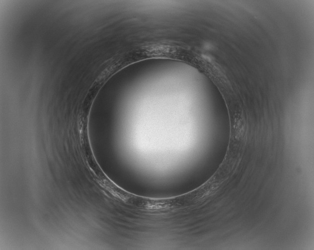 X0000083660753200702121215