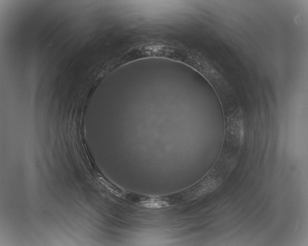 X0000083660754200702121215