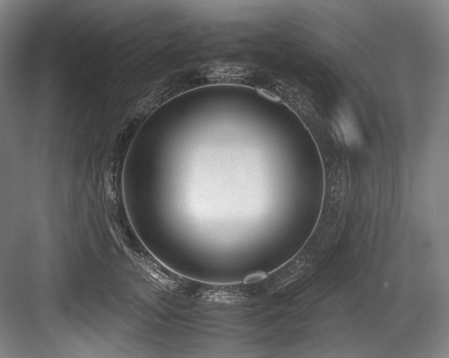 X0000083660755200702121215