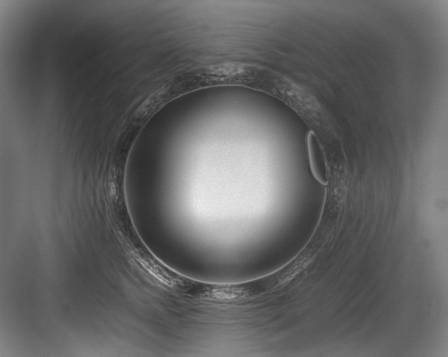 X0000083660758200702121216