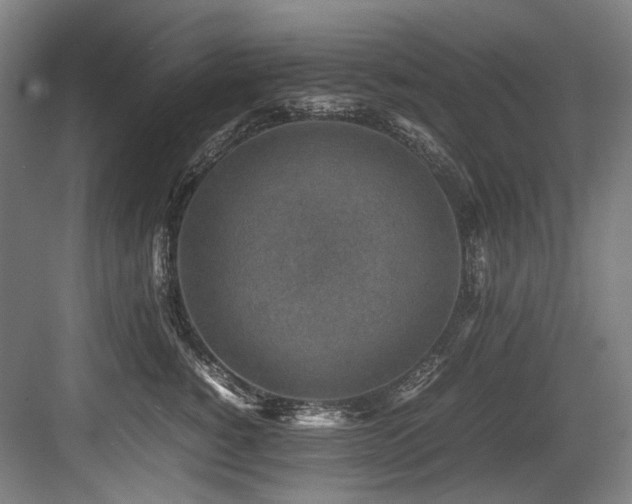 X0000083660760200702121216