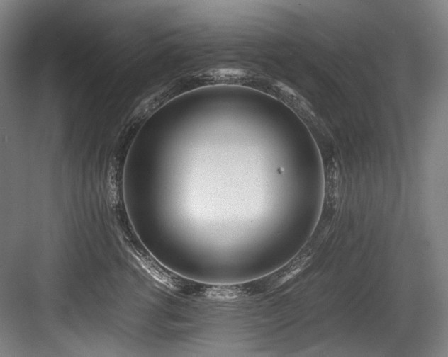X0000083660762200702121216