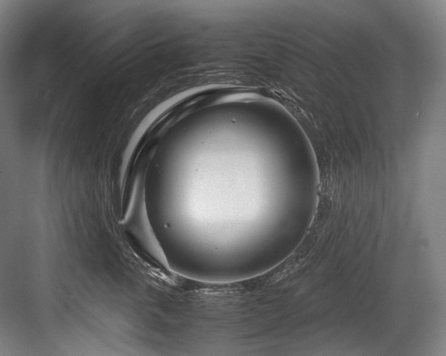 X0000083660763200702121216