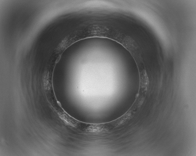 X0000083660764200702121216