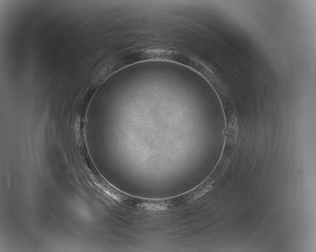 X0000083660765200702121216