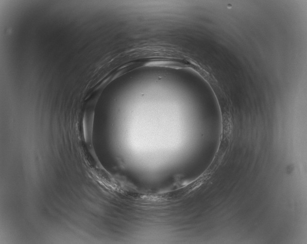 X0000083660766200702121216