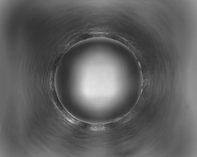 X0000083660767200702121216