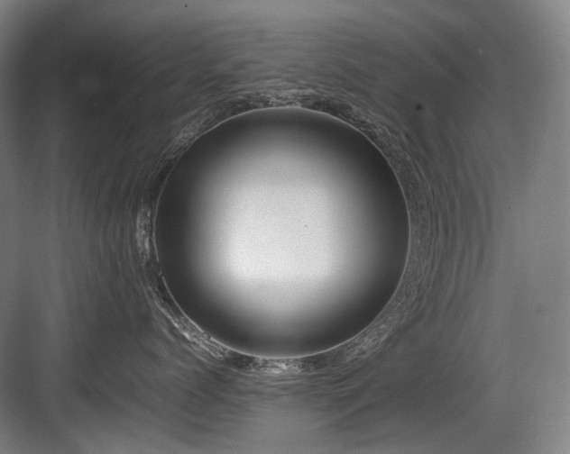 X0000083660768200702121216