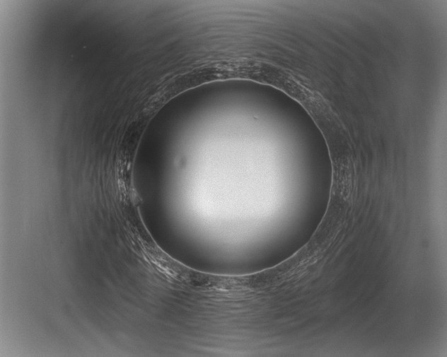 X0000083660770200702121215