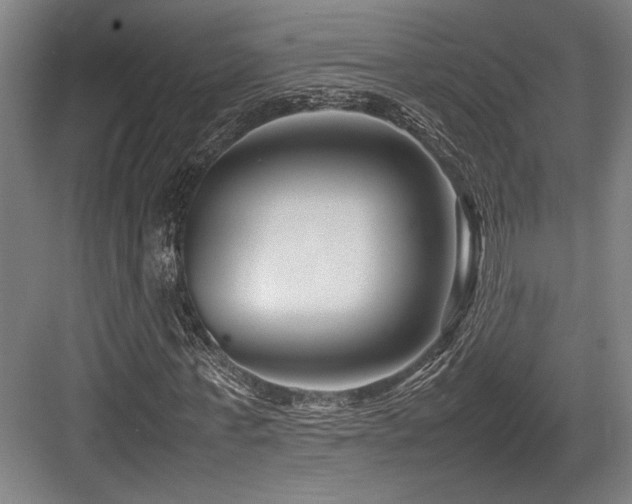 X0000083660771200702121215