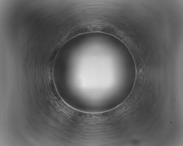 X0000083660772200702121215