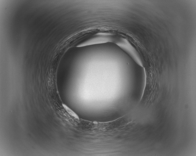 X0000083660773200702121215