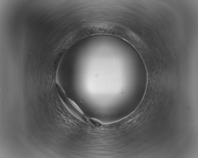 X0000083660774200702121215