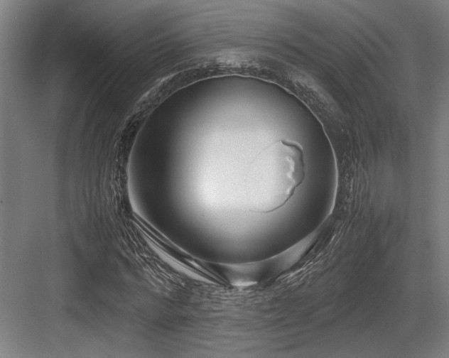 X0000083660776200702121215