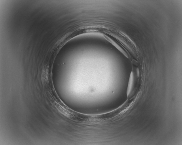 X0000083660777200702121215