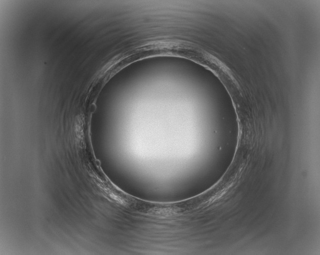 X0000083660778200702121215