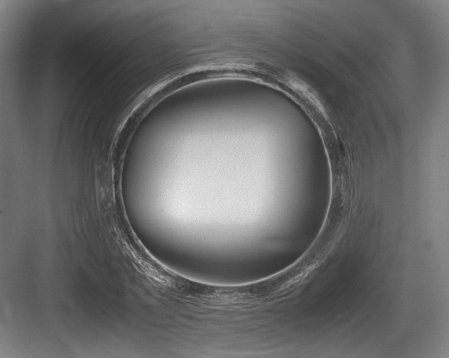 X0000083660781200702121215