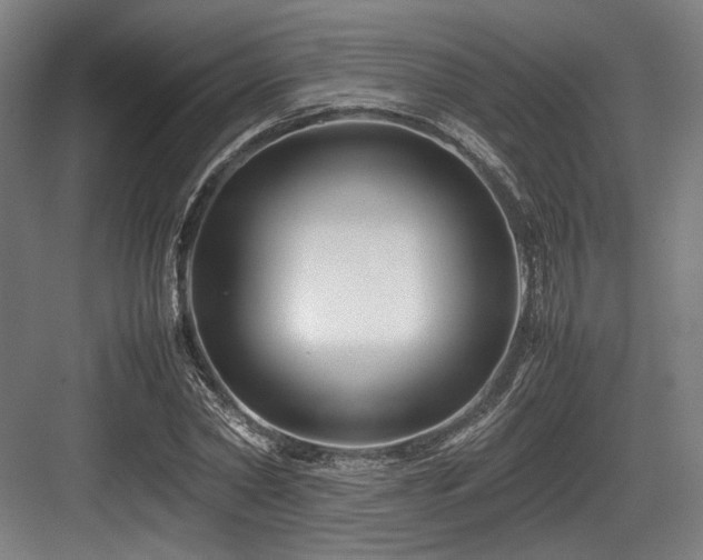 X0000083660782200702121215